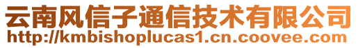 云南风信子通信技术有限公司