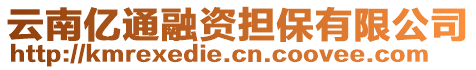 云南億通融資擔(dān)保有限公司