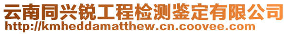 云南同兴锐工程检测鉴定有限公司