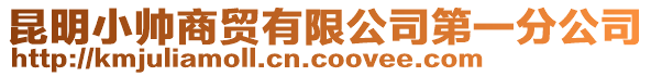 昆明小帥商貿(mào)有限公司第一分公司