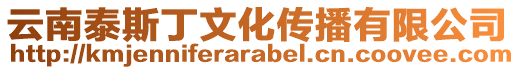 云南泰斯丁文化傳播有限公司
