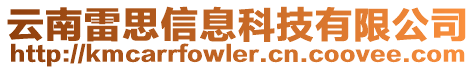 云南雷思信息科技有限公司