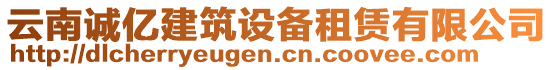 云南誠(chéng)億建筑設(shè)備租賃有限公司