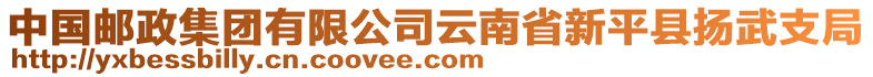 中國(guó)郵政集團(tuán)有限公司云南省新平縣揚(yáng)武支局