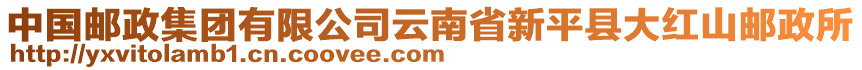 中國郵政集團有限公司云南省新平縣大紅山郵政所