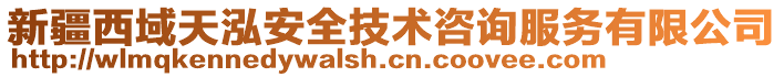 新疆西域天泓安全技术咨询服务有限公司