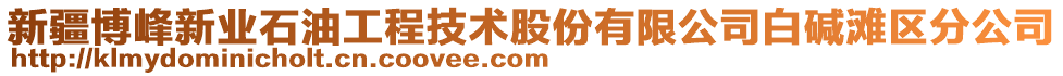 新疆博峰新業(yè)石油工程技術(shù)股份有限公司白堿灘區(qū)分公司