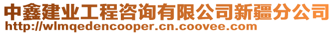 中鑫建業(yè)工程咨詢有限公司新疆分公司