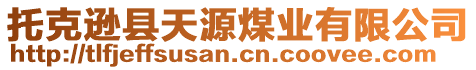 托克遜縣天源煤業(yè)有限公司