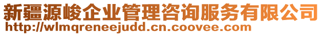 新疆源峻企業(yè)管理咨詢服務(wù)有限公司