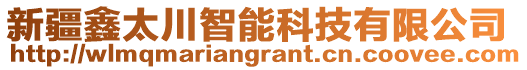 新疆鑫太川智能科技有限公司