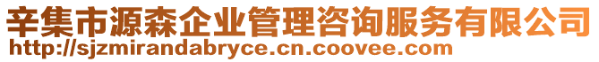 辛集市源森企業(yè)管理咨詢服務(wù)有限公司