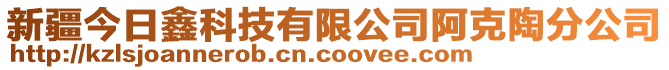 新疆今日鑫科技有限公司阿克陶分公司