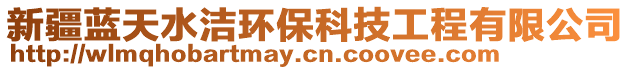 新疆藍(lán)天水潔環(huán)保科技工程有限公司