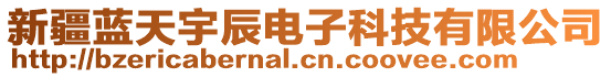 新疆藍(lán)天宇辰電子科技有限公司