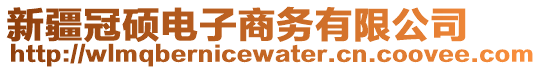 新疆冠碩電子商務(wù)有限公司