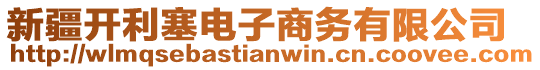 新疆開利塞電子商務(wù)有限公司