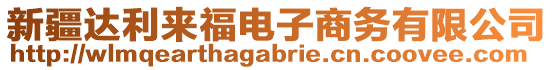 新疆達利來福電子商務有限公司