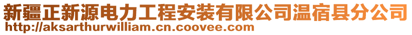 新疆正新源電力工程安裝有限公司溫宿縣分公司