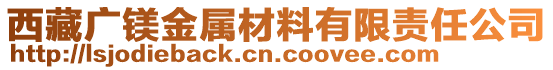 西藏广镁金属材料有限责任公司