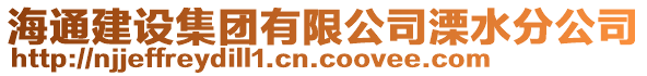 海通建設(shè)集團(tuán)有限公司溧水分公司