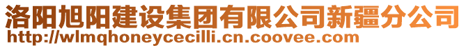 洛陽(yáng)旭陽(yáng)建設(shè)集團(tuán)有限公司新疆分公司