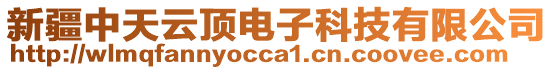 新疆中天云頂電子科技有限公司