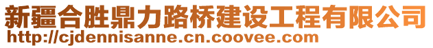 新疆合勝鼎力路橋建設(shè)工程有限公司