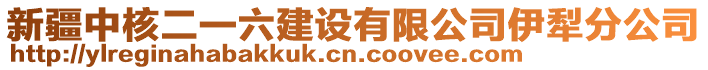 新疆中核二一六建設(shè)有限公司伊犁分公司