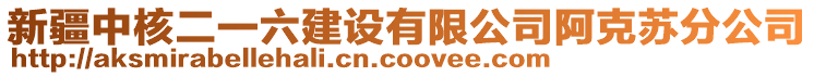 新疆中核二一六建設(shè)有限公司阿克蘇分公司