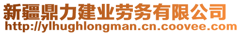 新疆鼎力建業(yè)勞務(wù)有限公司