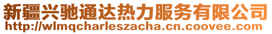 新疆興馳通達熱力服務有限公司