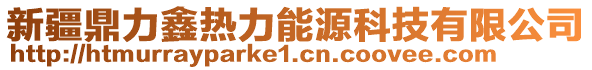 新疆鼎力鑫熱力能源科技有限公司