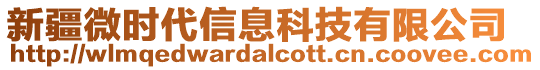 新疆微時(shí)代信息科技有限公司