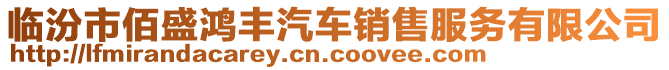 臨汾市佰盛鴻豐汽車銷售服務(wù)有限公司