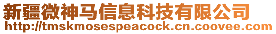 新疆微神马信息科技有限公司