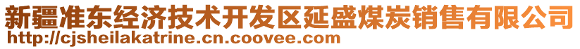 新疆準東經(jīng)濟技術(shù)開發(fā)區(qū)延盛煤炭銷售有限公司