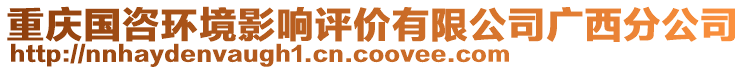 重慶國(guó)咨環(huán)境影響評(píng)價(jià)有限公司廣西分公司