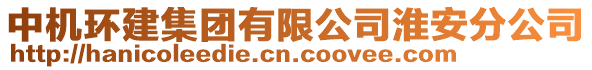 中機(jī)環(huán)建集團(tuán)有限公司淮安分公司