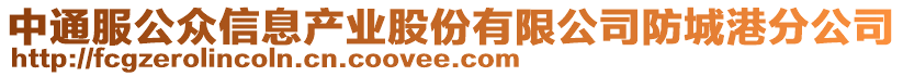 中通服公众信息产业股份有限公司防城港分公司