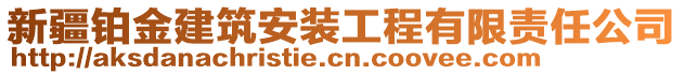 新疆铂金建筑安装工程有限责任公司