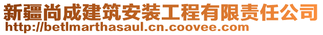 新疆尚成建筑安裝工程有限責(zé)任公司