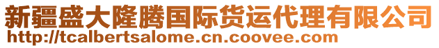 新疆盛大隆騰國(guó)際貨運(yùn)代理有限公司