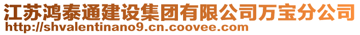 江苏鸿泰通建设集团有限公司万宝分公司