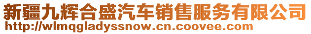 新疆九輝合盛汽車銷售服務(wù)有限公司