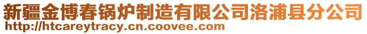 新疆金博春鍋爐制造有限公司洛浦縣分公司