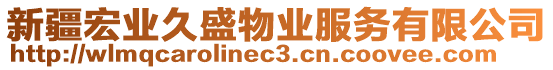 新疆宏業(yè)久盛物業(yè)服務有限公司