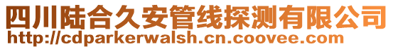 四川陸合久安管線探測有限公司