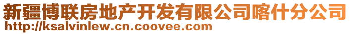 新疆博聯(lián)房地產(chǎn)開發(fā)有限公司喀什分公司