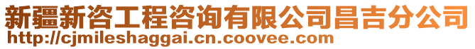 新疆新咨工程咨詢有限公司昌吉分公司